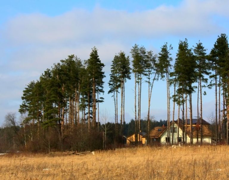 Camping-Spaß für alle in Dänemark!